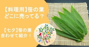 笹の葉　どこに売ってる？